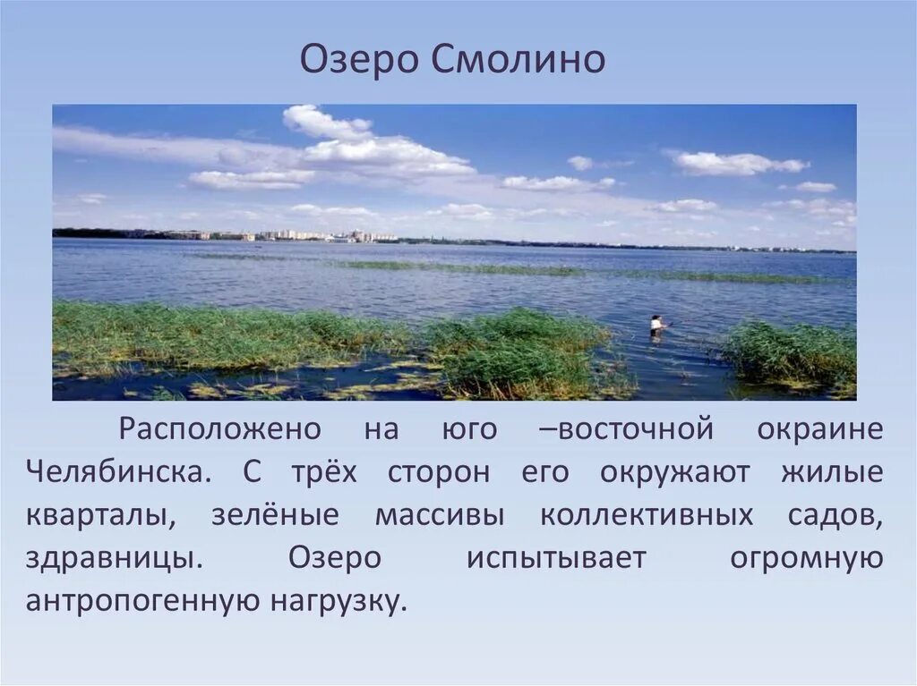 Водные богатства челябинской области 2 класс. Смолино озеро. Озеро Смолино Челябинск. Растения озеро Смолино. Озеро Смолино информация.