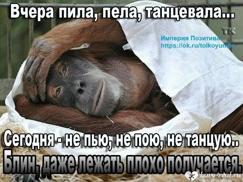 Ой пью