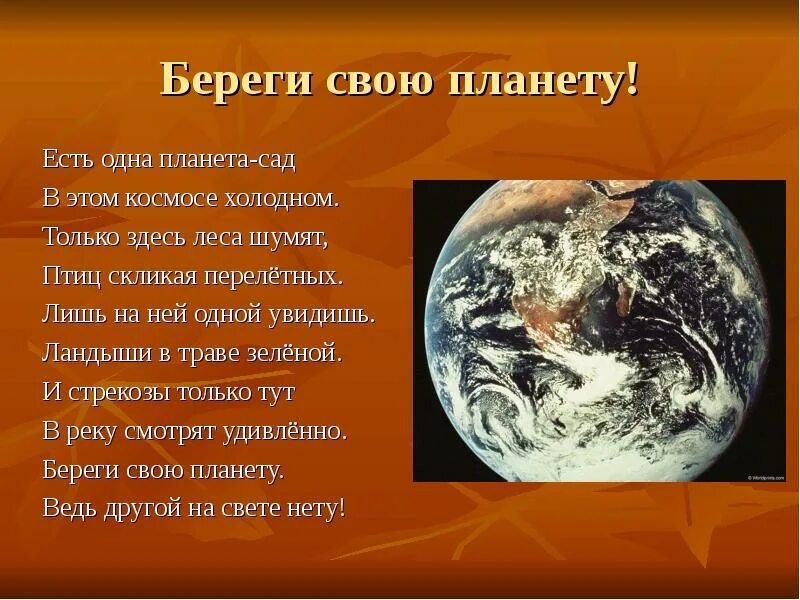 Только здесь леса шумят. Есть одна планета сад стихотворение. Береги свою планету ведь другой похожей нету презентация. Земля и космос 5 класс география презентация. Есть одна планета сад.