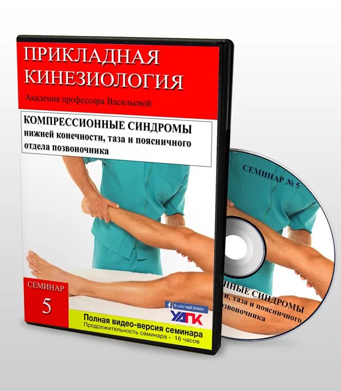 Васильева прикладная кинезиология книга. Прикладная кинезиология. Книги по кинезиологии. Прикладная кинезиология Васильева книга. Васильева кинезиология.