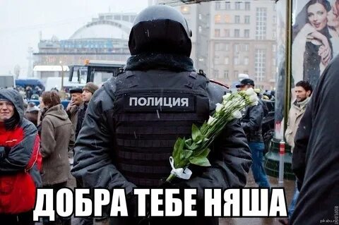 Когда день позуиста
