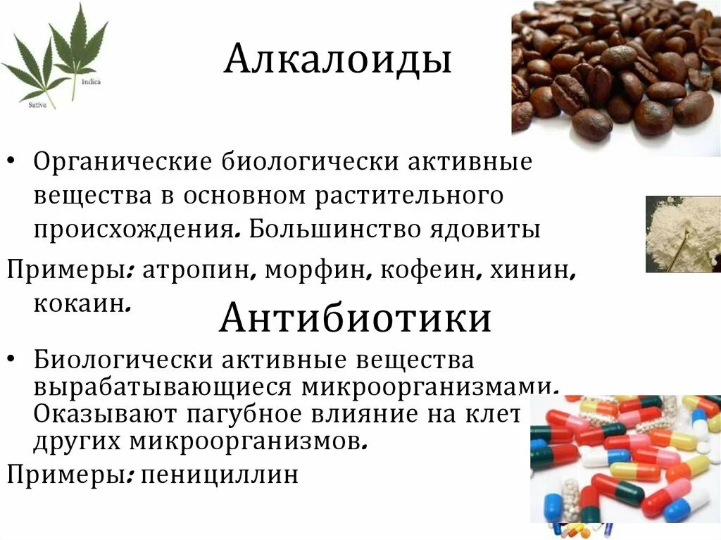 Соединения растительного происхождения. Алкалоиды. Биологически активные вещества. Биологичсекиактивные вещества. Алкалоиды растительного происхождения.