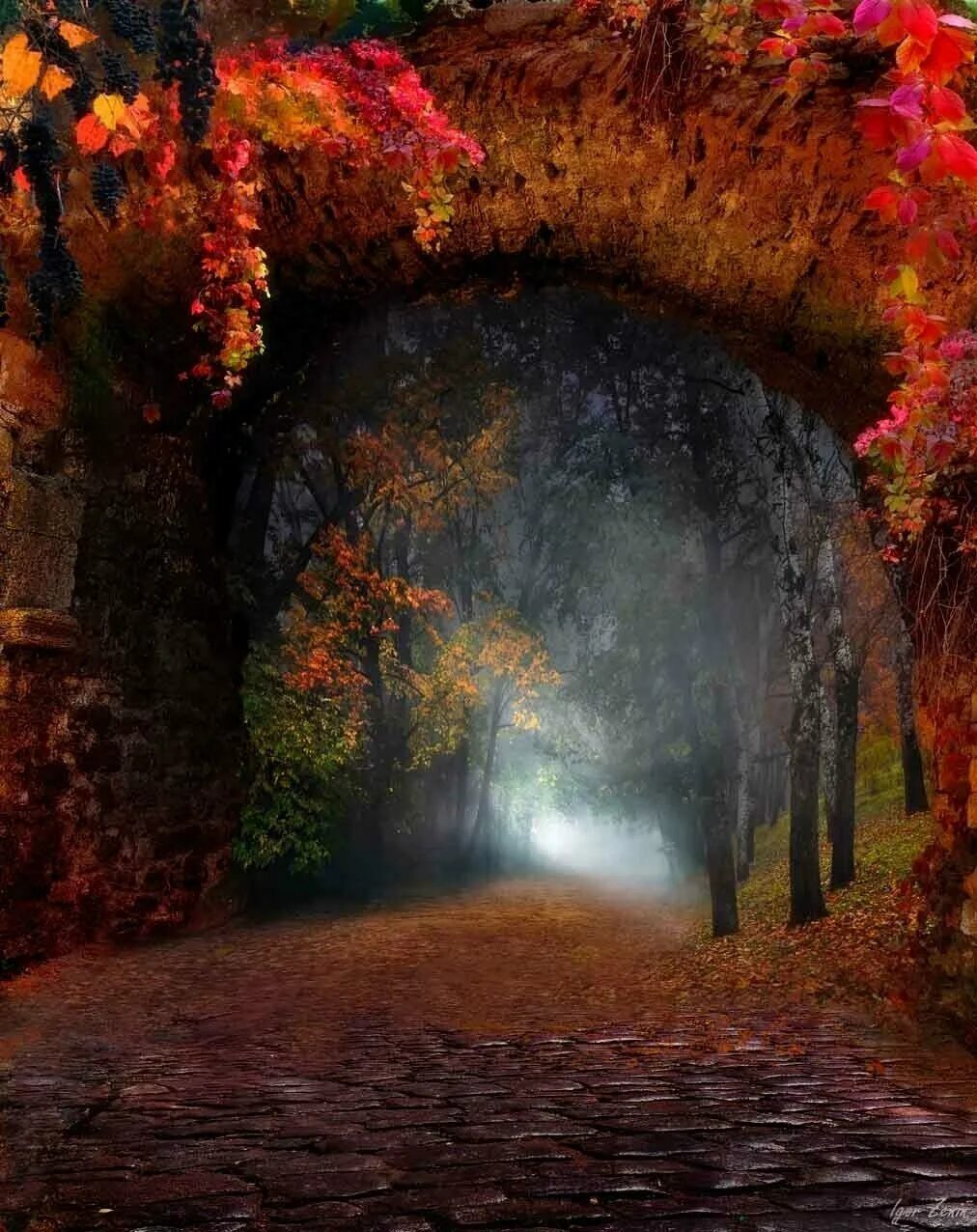 Волшебный лес. Сказочная осень. Сказочный осенний лес. Гончарова осенний лес. Волшебный осенний пейзаж.
