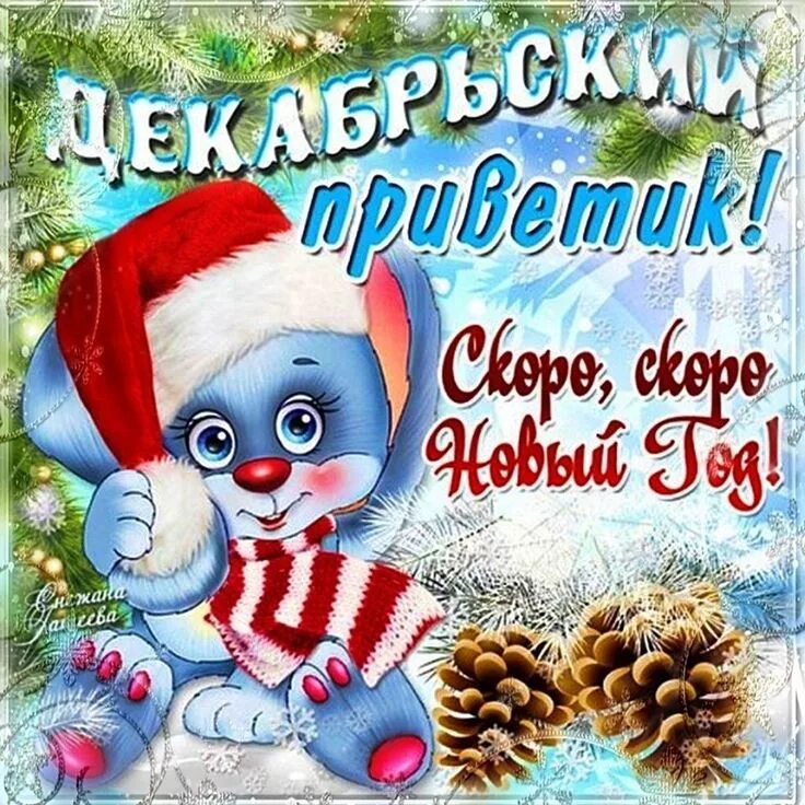 27 декабря утро