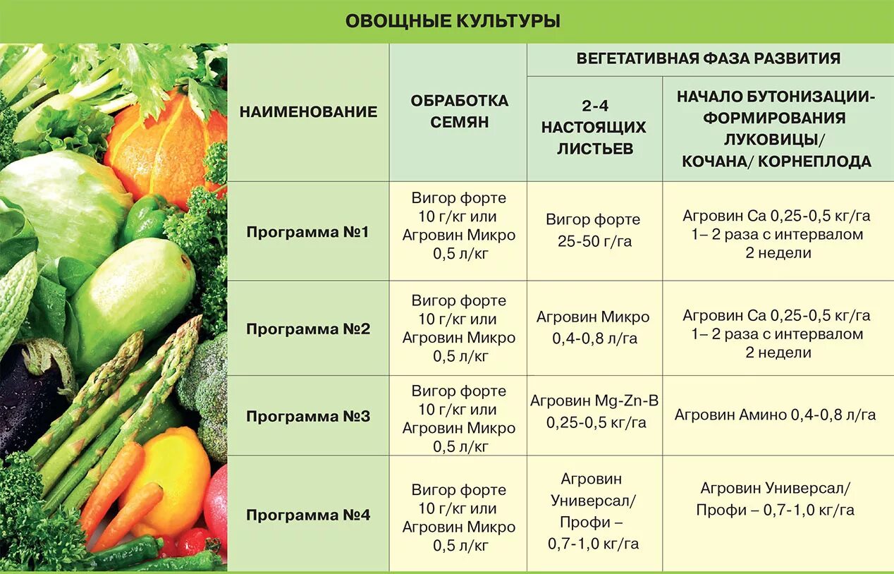 Овощные культуры. Овощные культурные растения. Название овощных культур. Овощи открытого грунта. Овощи входящие в группу