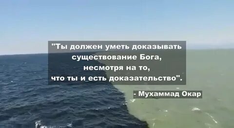 Докажи что знаешь