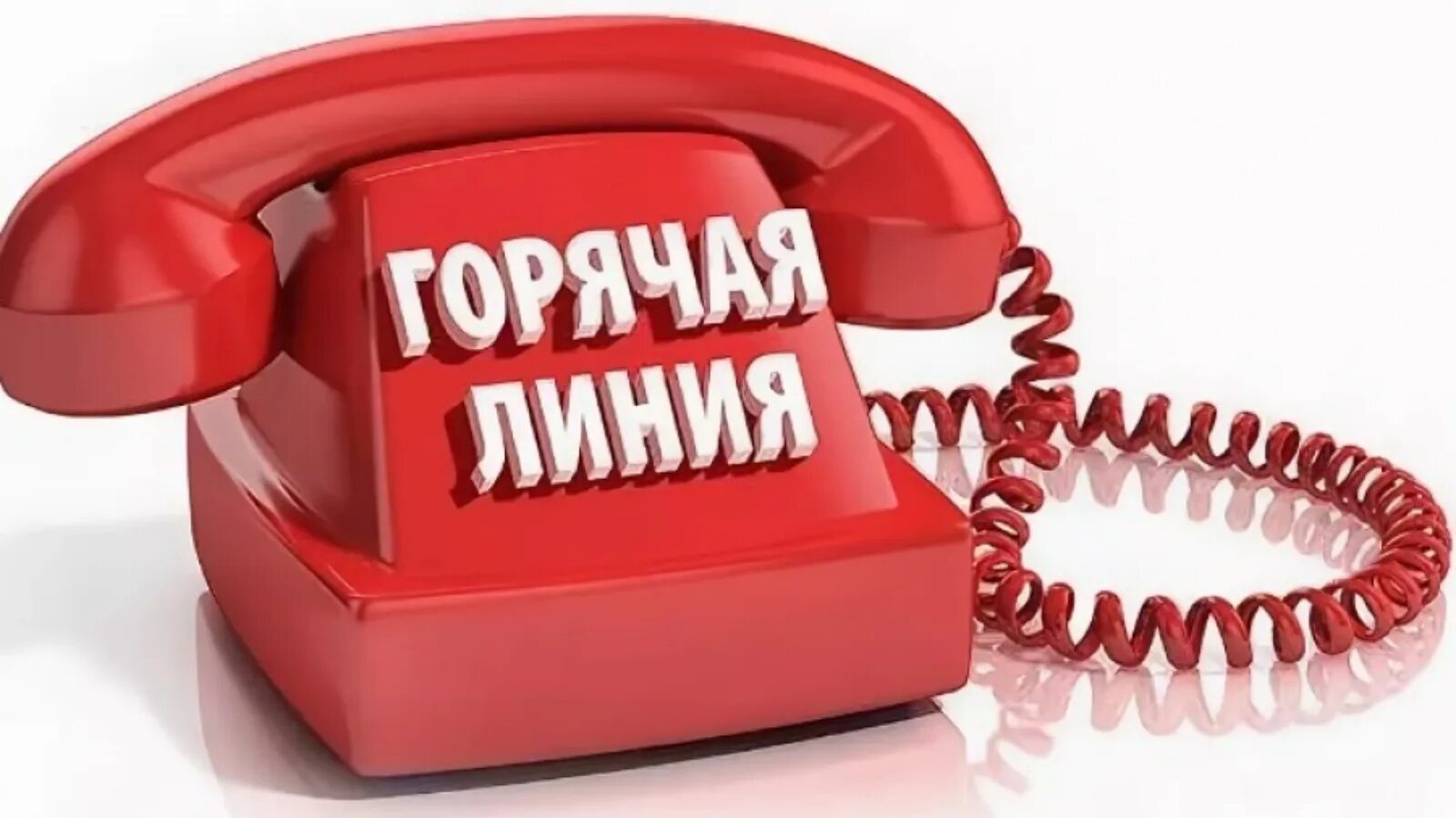 горячая линия налоговой службы. налоговая горячая линия. авито горячая линия. номер телефона налоговой службы горячая линия. номер телефона налоговой службы горячая линия.