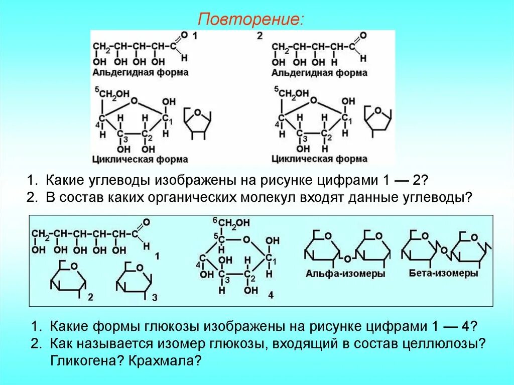 Углеводы формулы группа углеводов. Углеводы схема строения. Строение молекул простых и сложных углеводов. Углеводы таблица биохимия. Углеводы структура и функции.