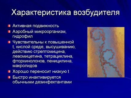 Возбудитель общий