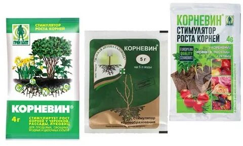 Корневин чем заменить для укоренения черенков