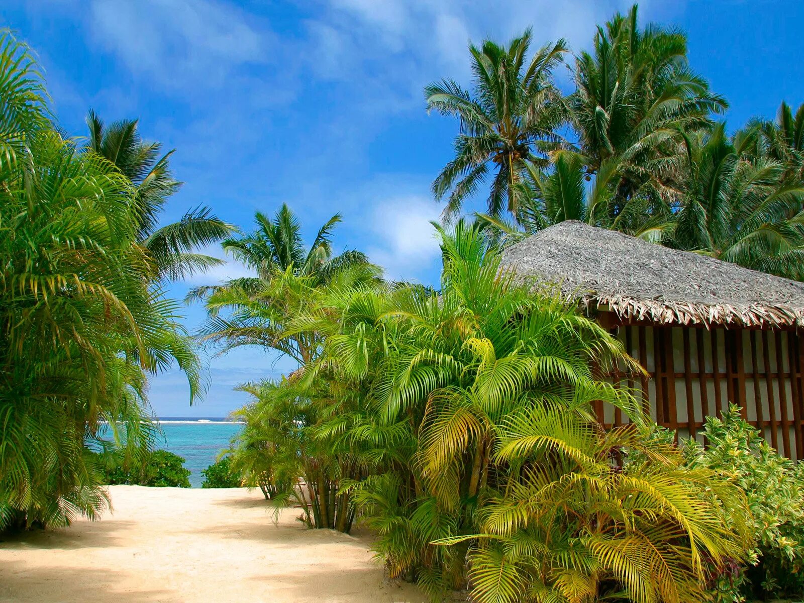 Пальмы бунгало. Пляж с пальмами. Тропическое бунгало. Тропический пейзаж.