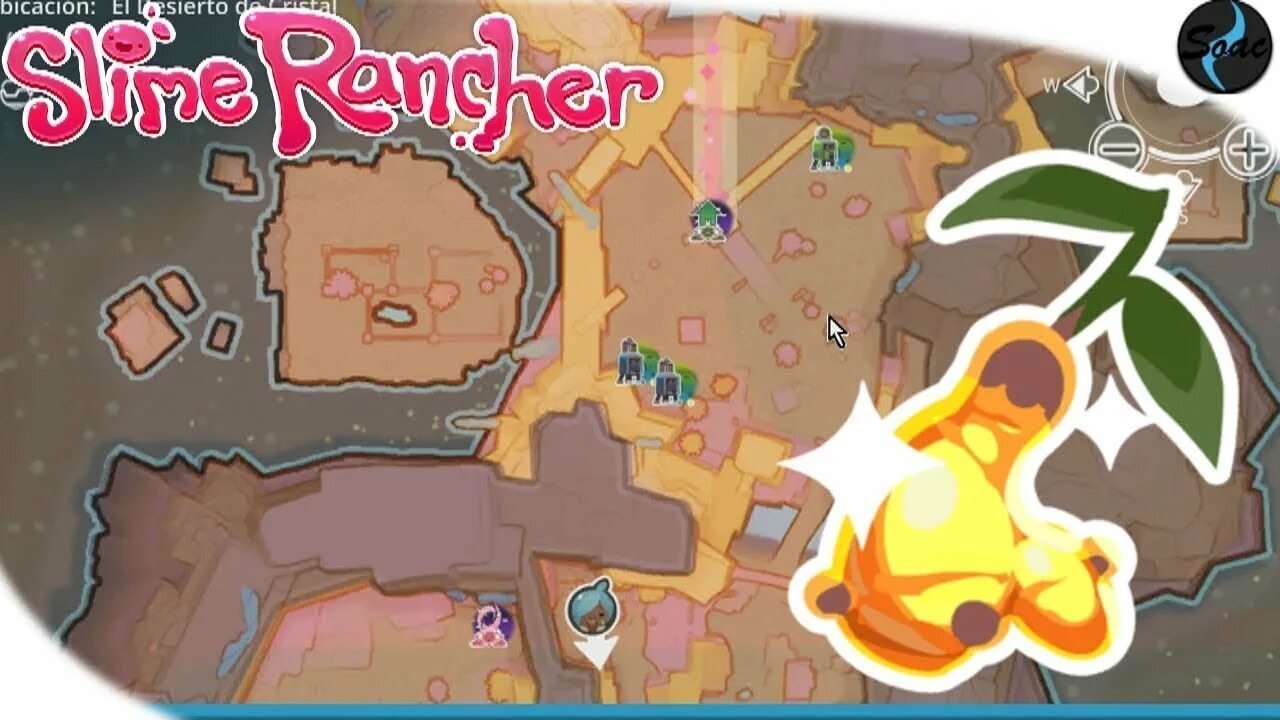 Карта золотого имбиря в слайм ранчер. Слайм ранчер золотистый имбирь. Золотистый имбирь в slime rancher. Мерцающий слайм slime rancher. Слайм ранчер позолоченный имбирь.