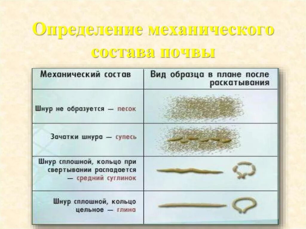 Механический состав почвы 8 класс. Таблица мех состава почвы. Механический состав почвы 8 класс география. Как определить механический состав почвы. Механический состав почвы 8