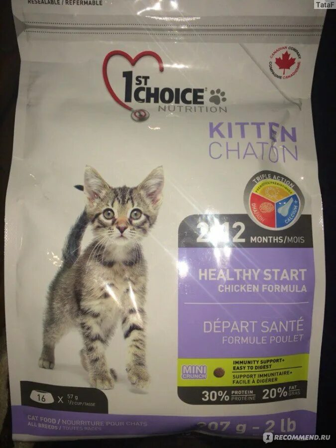 Фест чойс для кошек. Корм для котят 1st choice. 1st choice Kitten 4кг. 1st choice для котят. 1 Choice корм для котят.