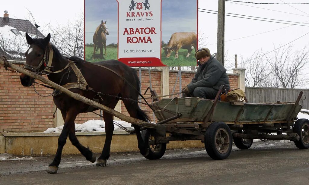 Гужевой скот. Гужевая повозка Украина. Телега с лошадью. Лошадь запряженная в телегу. Телега запряженная.