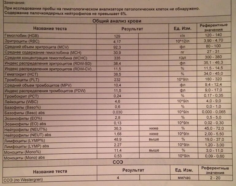 Время готовых анализов крови. Анализ крови. Покажи результат анализа крови. Анализ крови на гематологическом анализаторе. Образец хороших анализов крови.