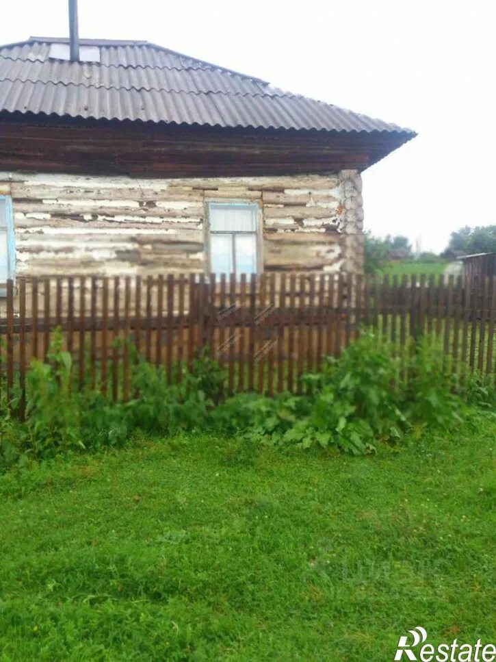 Погода в пуштулим алтайский край. Алтайский край поселок пуштулим. Пуштулим фото. Алтайский край поселок пуштулим. Село пуштулим.