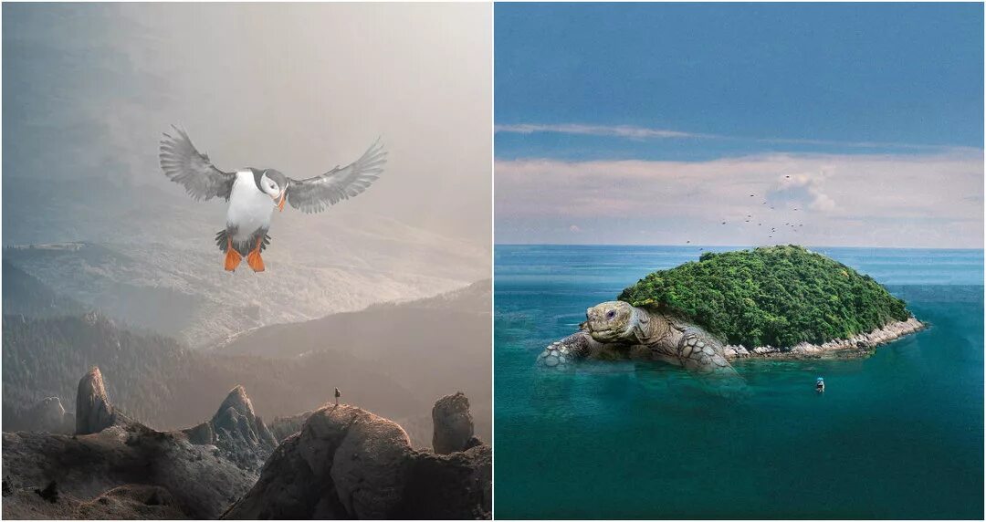 Удастся воплотить