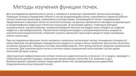 Функция почек анализы