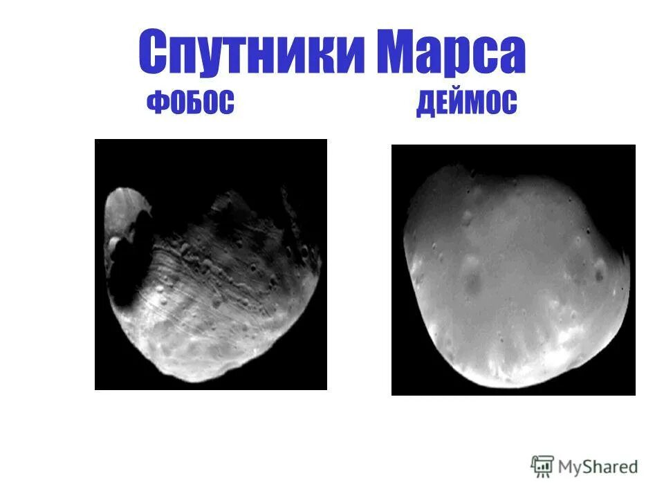 спутник марса буквы сканворд. спутники марса фобос и деймос.