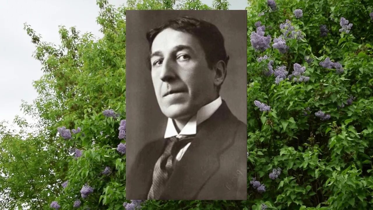 Северянин сирень. Северянин сирень. Аденома японская цветок фото. Северянин цветы. Сирень во дворе.