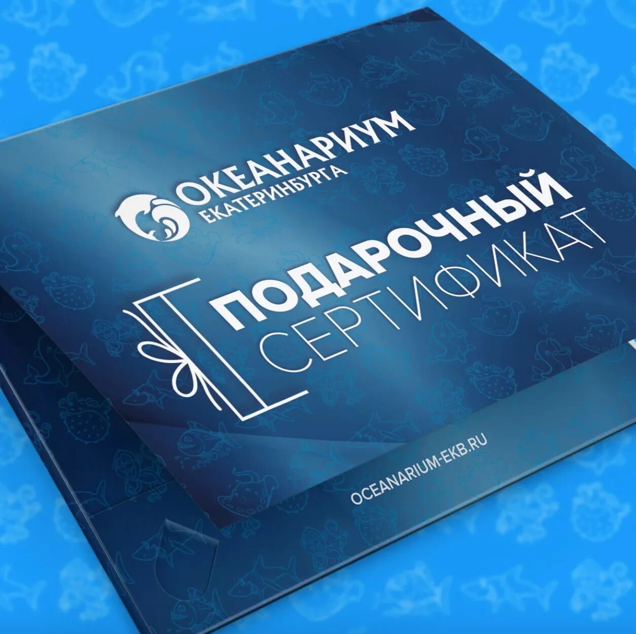 сертификат на плавание с дельфинами. океанариум подарочный сертификат. сертификат в океанариум екатеринбург. реклама океанариума. океанариум вывеска.