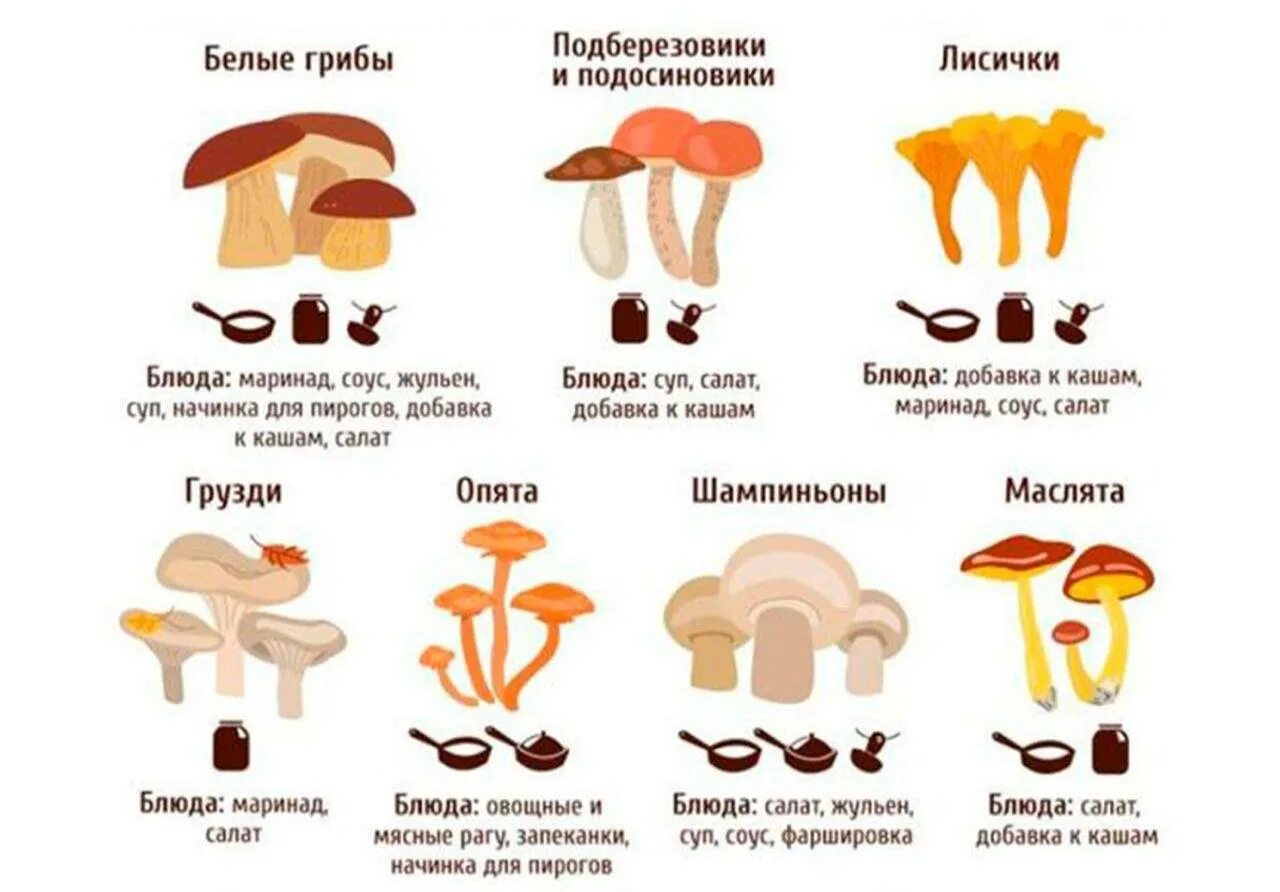 Грибы с какого возраста можно давать детям. Что готовят из грибов картинки для детей. С какого возраста можно есть грибы детям. Грибы можно есть. Приготовление из грибов.