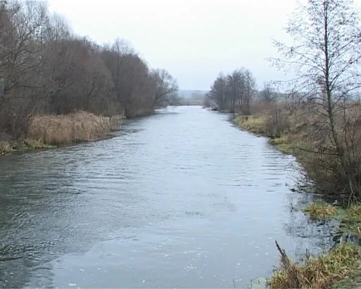 Николаева судьба река. Река Оскол Симоновка. Река Оскол Луганск. Река Оскол Афоньевка. Река Оскол Сорокино.