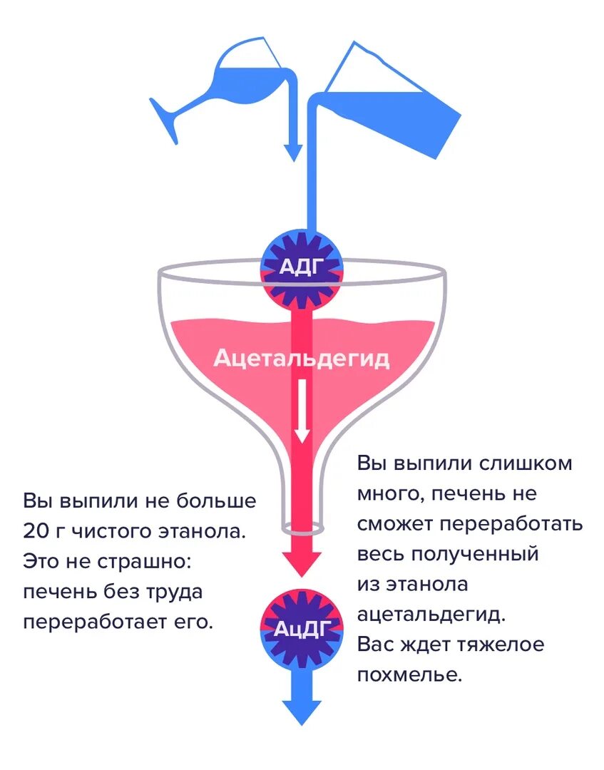 Как быстро снять похмелье дома. При похмелье. что помогает при похмелье. что помогает от похмелья быстро на работе. как помочь себе при похмелье.