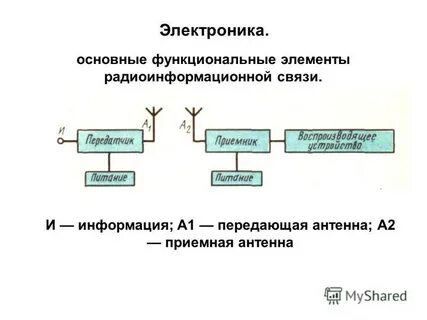 Активные ветви