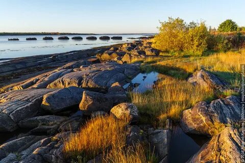 Белое море река 5 букв