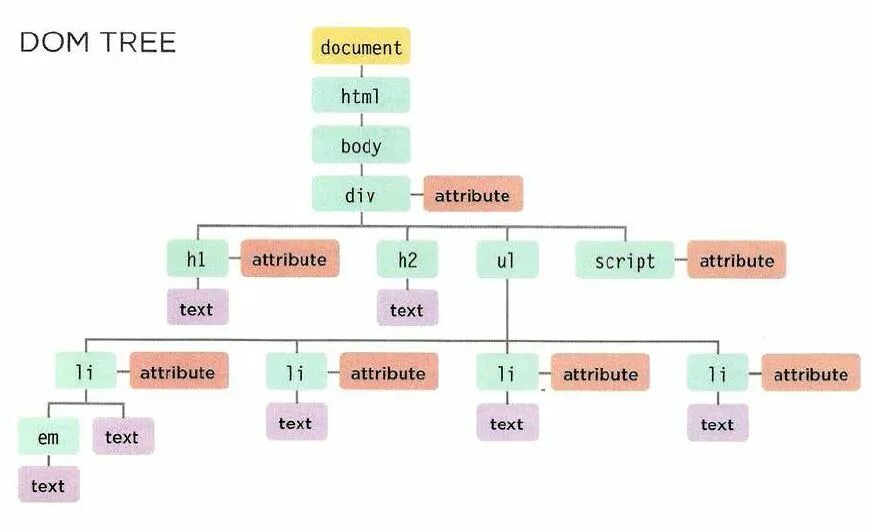 Dom дерево html. Dom дерево js. Объектная модель документа dom. Dom структура html. Script attributes