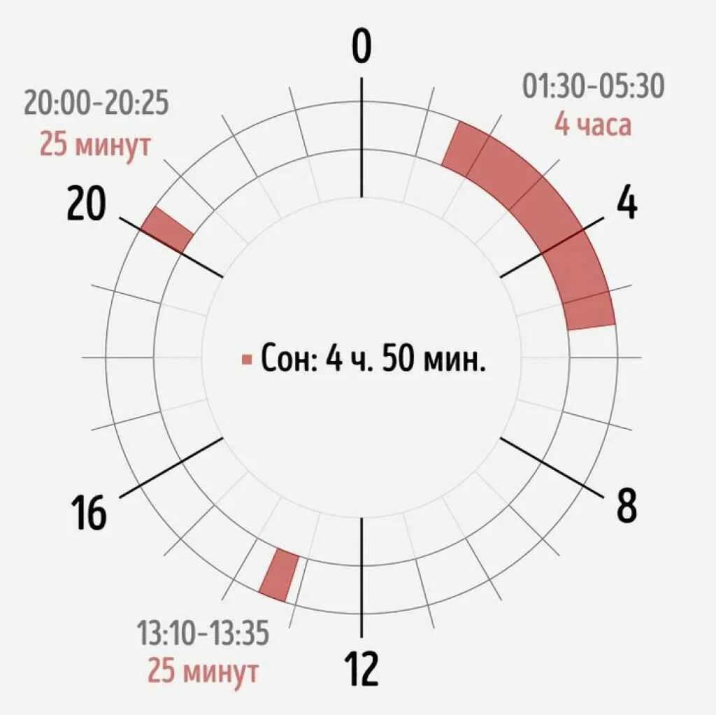 Что будет если спать по 6. График сна. Фазы сна распорядок. Нормальный график сна. 4 Часа сна.