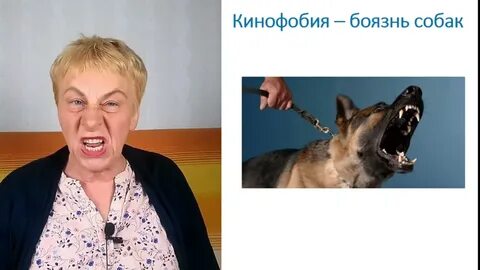 Как называется фобия боязнь собак