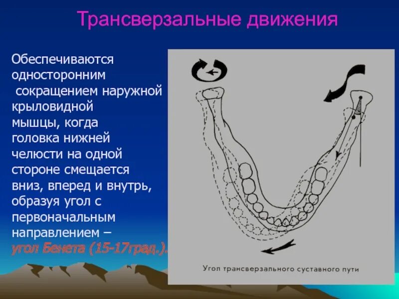 Трансверзальный суставной путь в стоматологии. Угол трансверзального суставного пути. Угол беннета в стоматологии. Трансверзальные движения нижней челюсти. Трансверзальные (боковые) движения нижней челюсти.