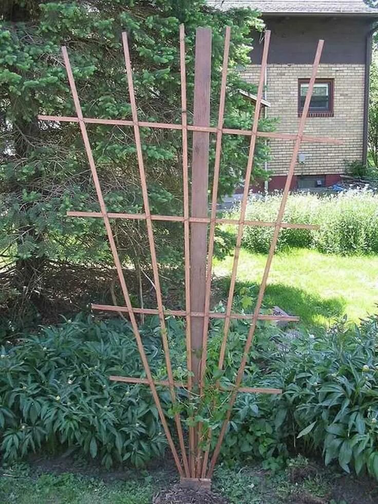 Опора вигвам клематис. Как сделать опору. Как сделать опору. Клематис шпалеры подвязка. Как сделать опору.