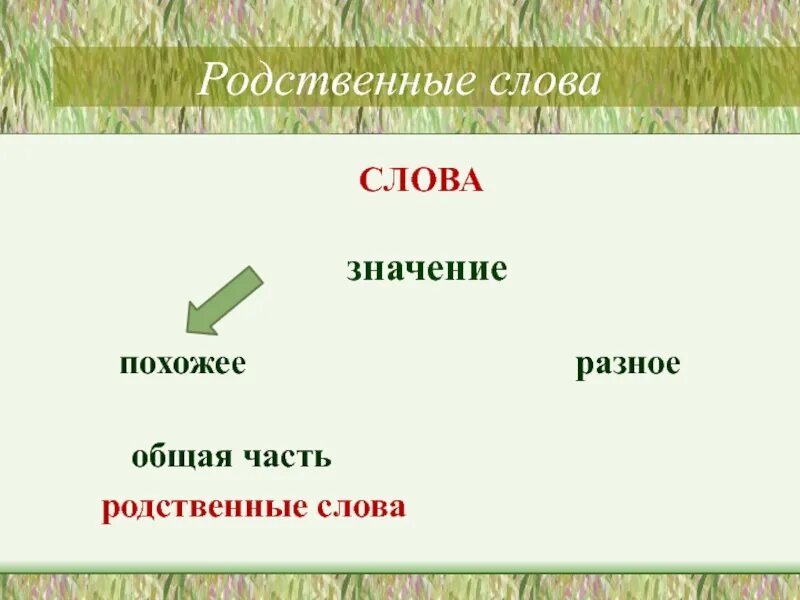 Общее представление о родственных словах. Родственные слова. Родственные слова по смыслу. Родственные слова примеры. Родственный по значению слова.