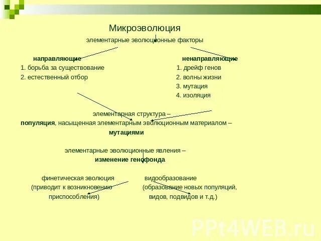 Причины микроэволюции. Микроэволюция презентация. Элементарные эволюционные факторы. Элементарные факторы микроэволюции. Элементарные эволюционные факторы микроэволюции.