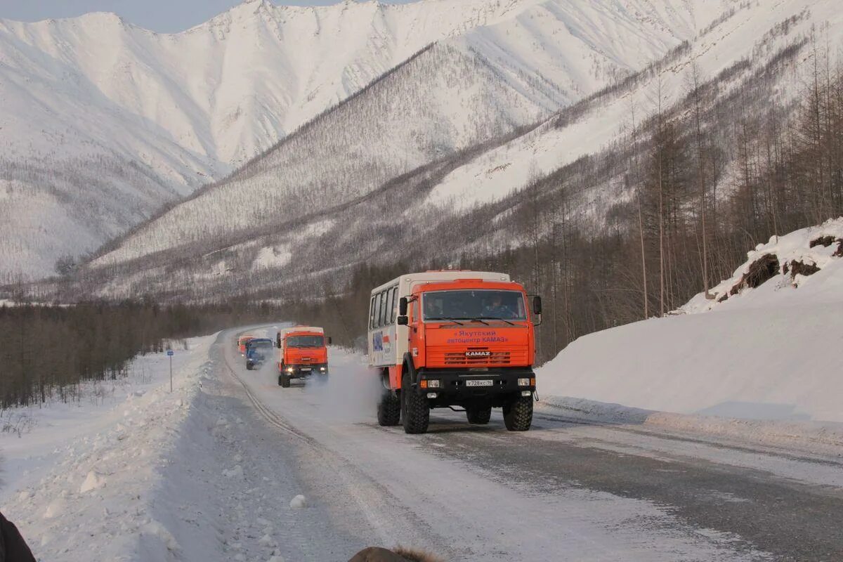 Водитель автосамосвала. Водитель допог вахта. Водитель на севере вахтовым. Водитель категории е допог. Водитель на севере вахтовым.