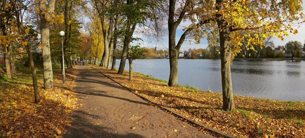 Советск озеро. Городское озеро Советск. Городское озеро Советск Калининградская область. Парк Победы Советск Калининградской области. Озеро в Советске Калининградская область.