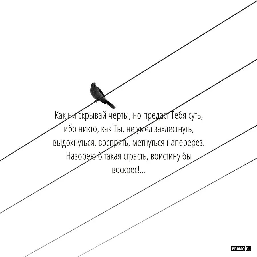 Как не скрывай черты но предаст тебя суть. Переступить черту картинки. Смешные картинки про "переступить черту". Картинка черт с тобой предатель.