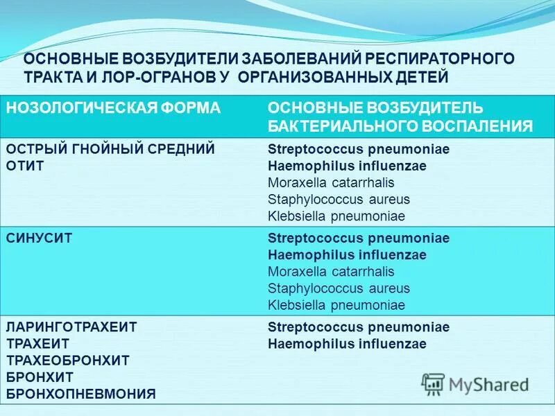 характеристика возбудителя инфекции. основные возбудители гнойной инфекции. микробы возбудители инфекционных заболеваний. основные возбудители инфекции. свойства возбудителей инфекционных заболеваний.