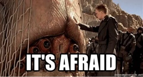 Had been afraid