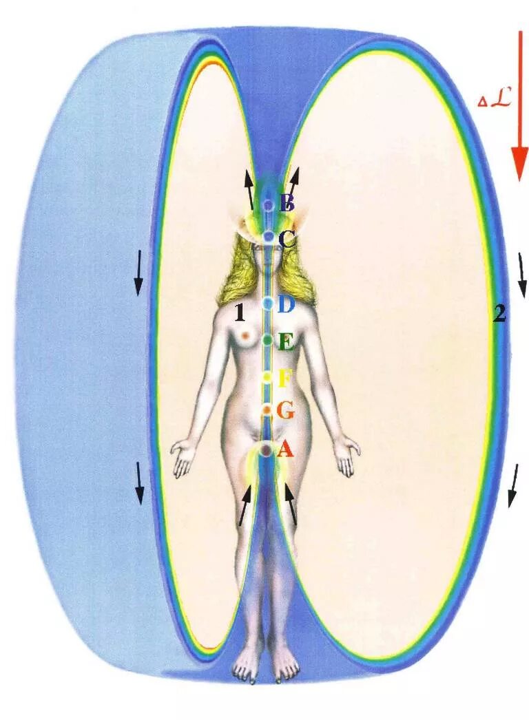 защитная оболочка человека 7 букв