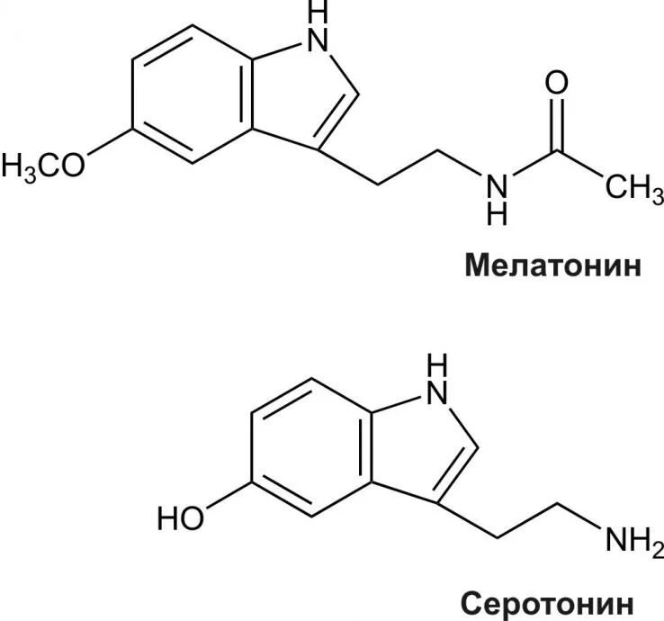 Меланин. Меланин состав. Химическое строение мелатонина. Роль меланина. Меланин строение.