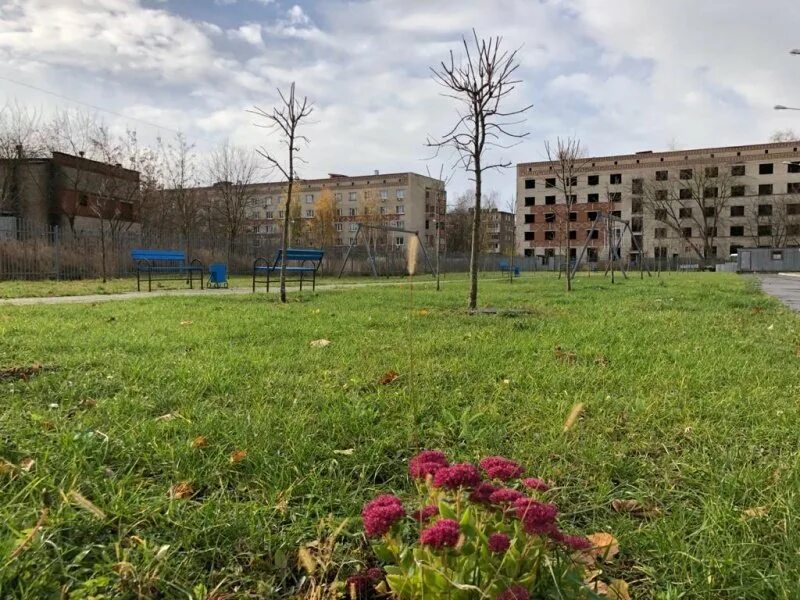 Подслушано воскресенск нижегородская область. Воскресенск 24. Школа 24 Воскресенск. Воскресенск сегодня.