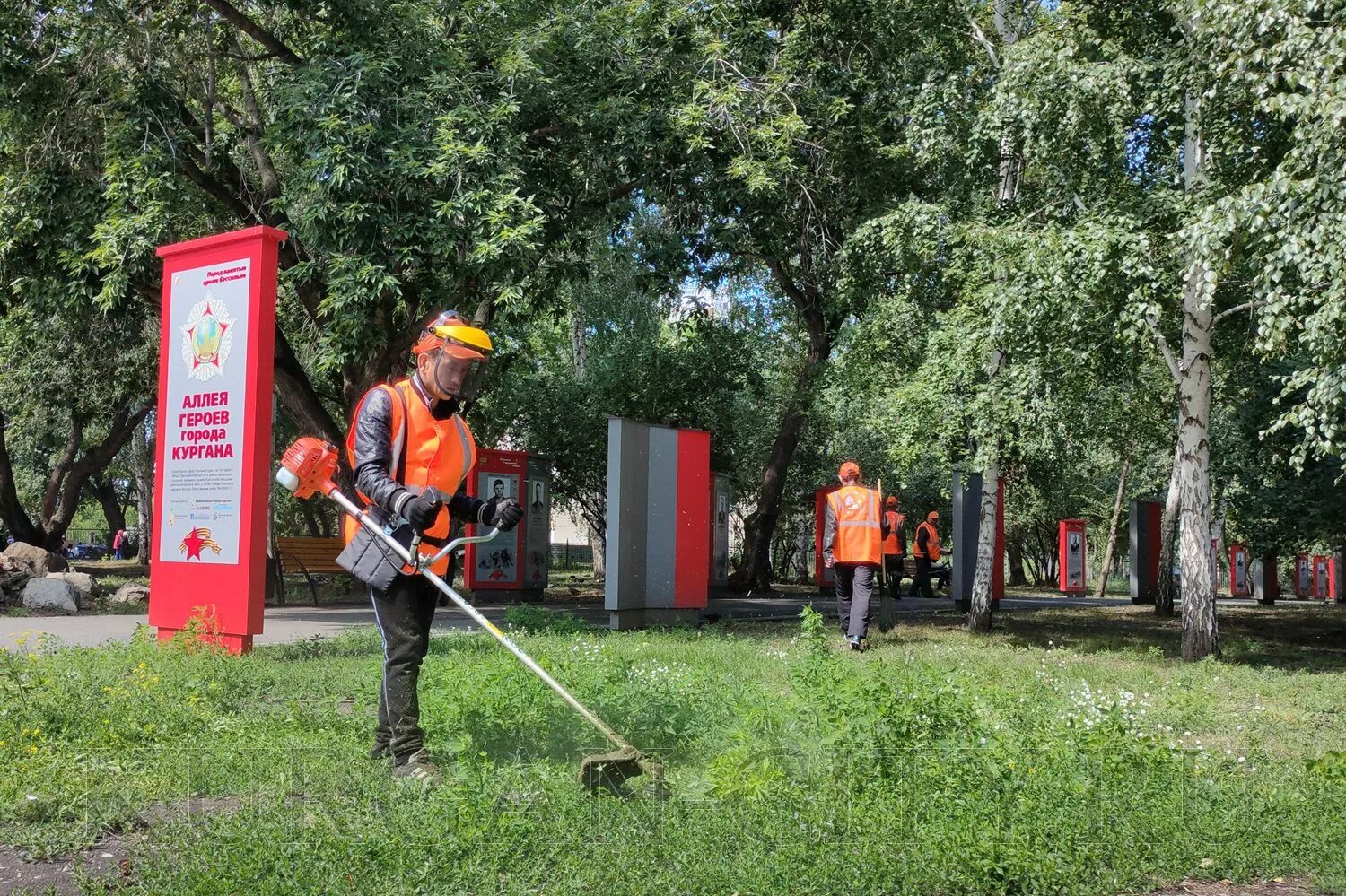 Дирекция городских парков. МБУ города Кургана «дирекция парков и скверов». Дирекция парков. Дирекция парков и скверов Саратов. Дирекция парков Калуга.