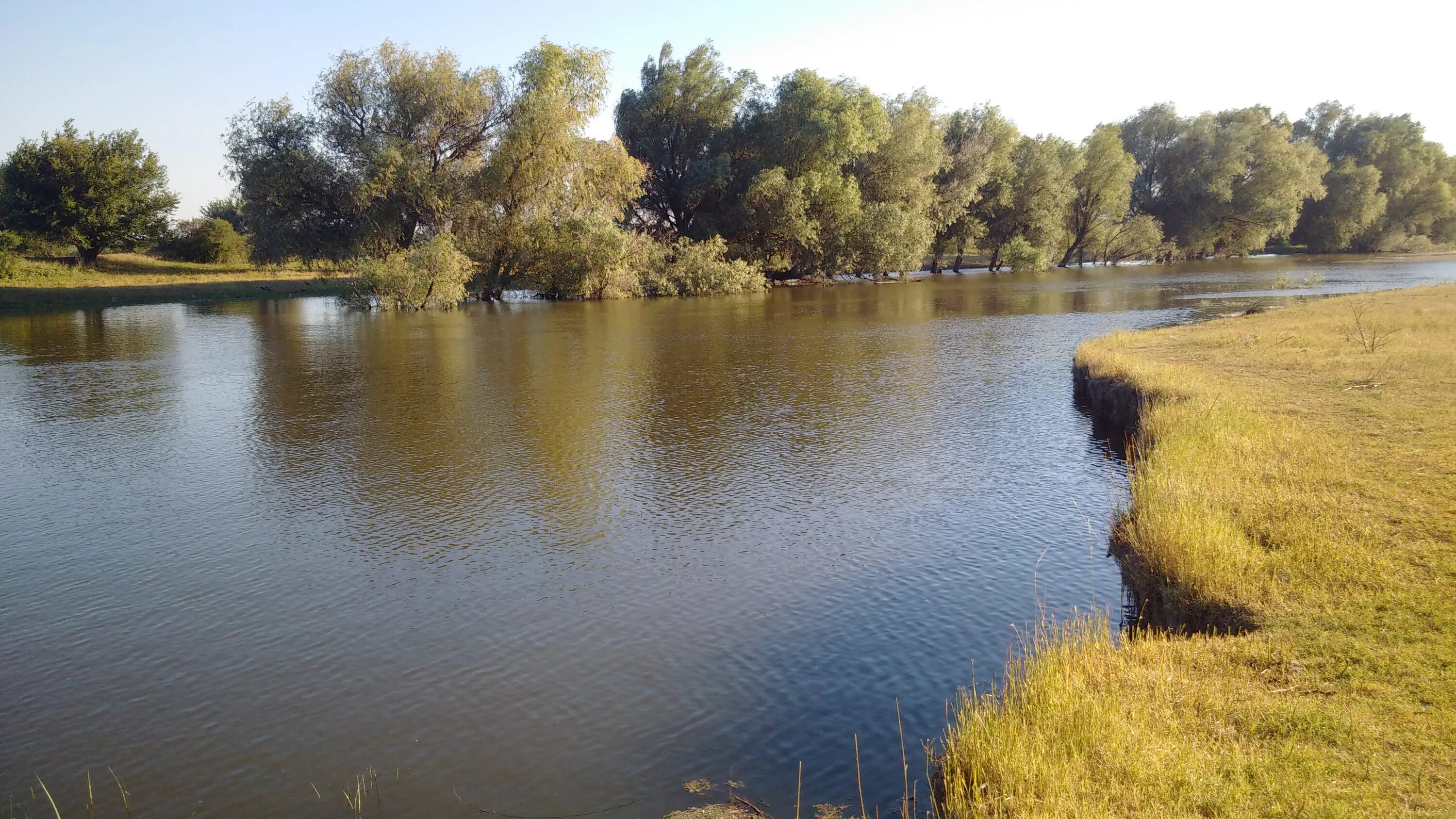 Вода в реке астрахань. Астрахань казачий бугор. Астрахань река. Астрахань рыбалка природа. Астрахань реки и моря.