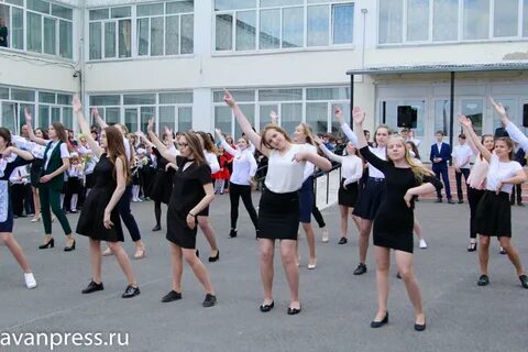 Сетевой катав