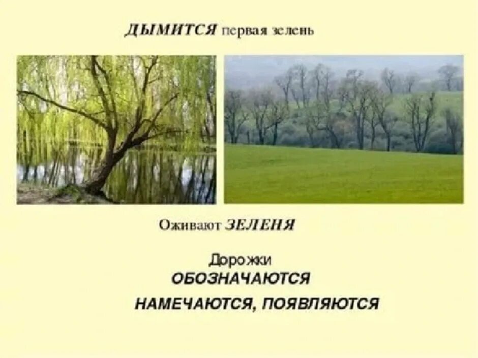 В природе есть удивительные праздники первая зелень. М.М пришвин предмайское утро. Пришвин предмайское утро иллюстрации. Пришвин предмайское утро 1 класс. Предмайское утро пришвин рисунок.